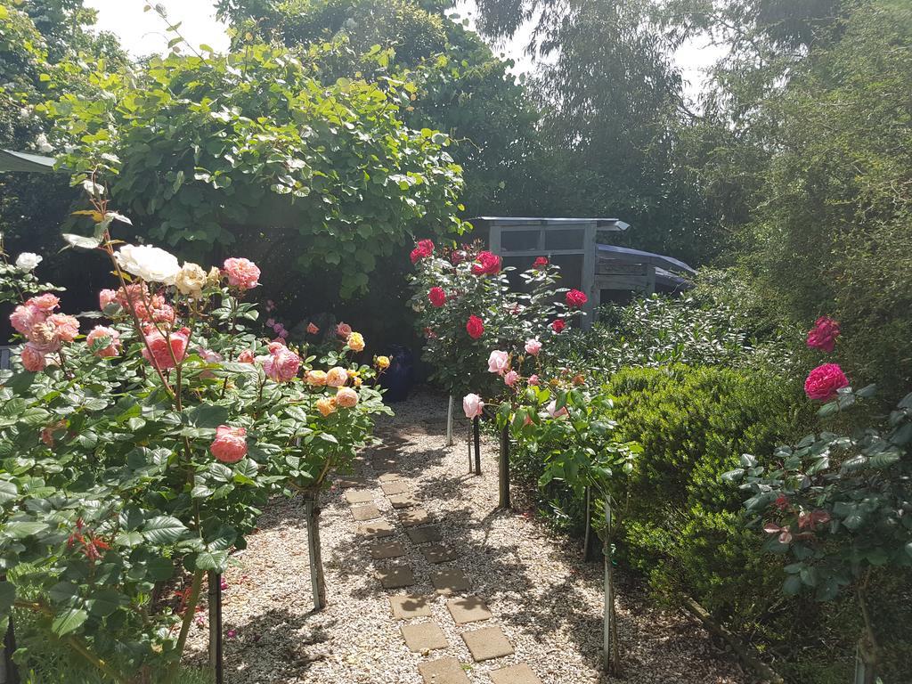 Olde Mill House B&B & Bike2Wine Cycle Hire Renwick Buitenkant foto