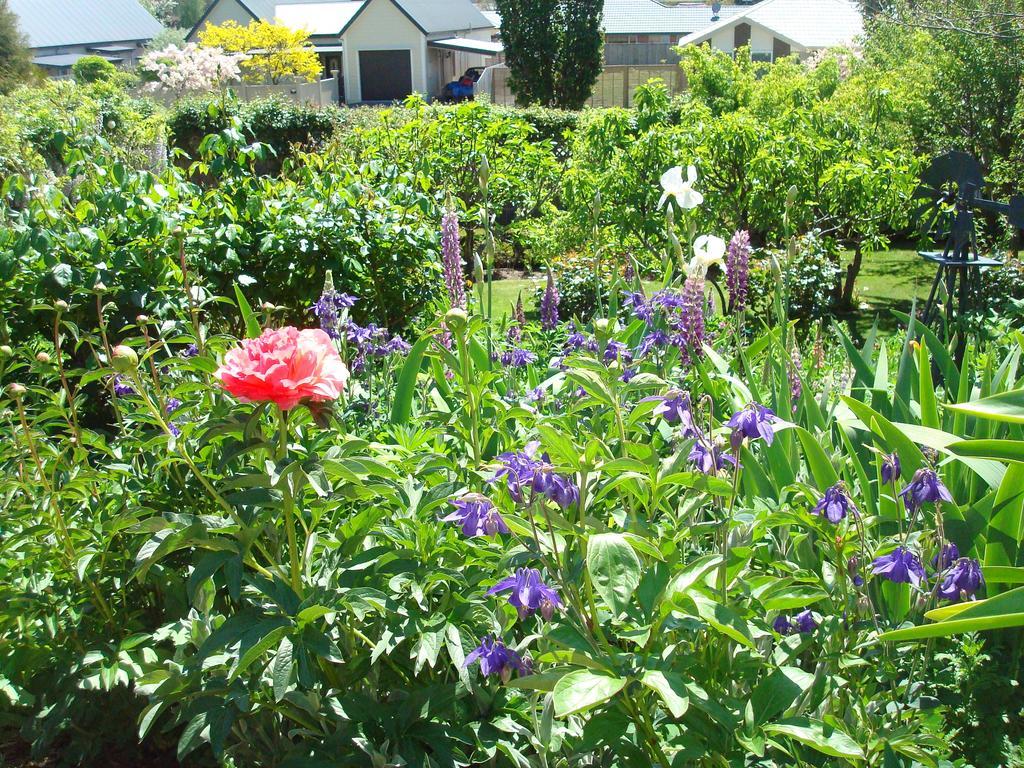 Olde Mill House B&B & Bike2Wine Cycle Hire Renwick Buitenkant foto