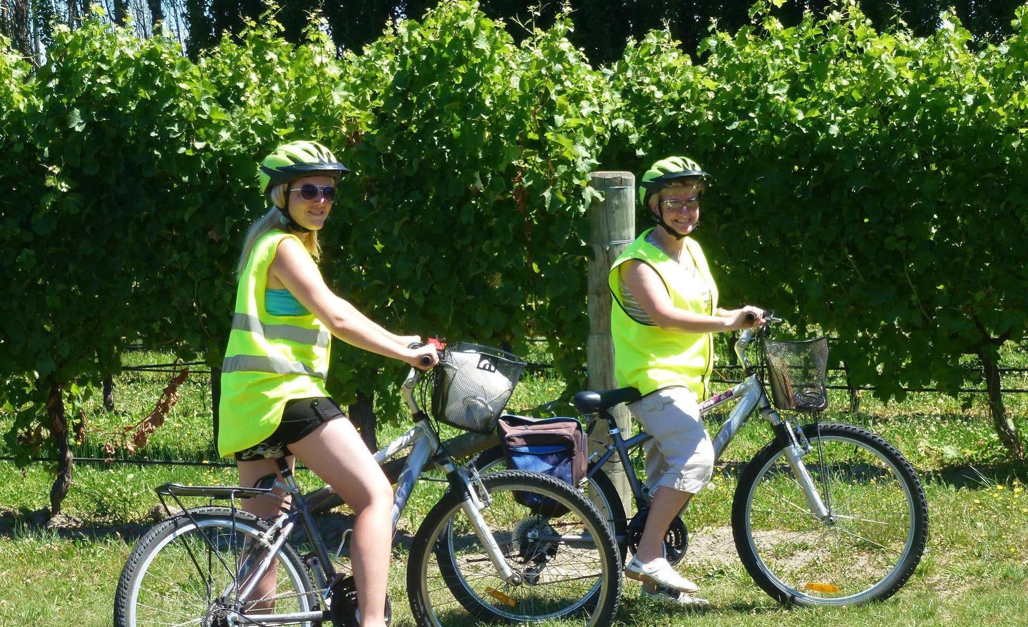 Olde Mill House B&B & Bike2Wine Cycle Hire Renwick Buitenkant foto