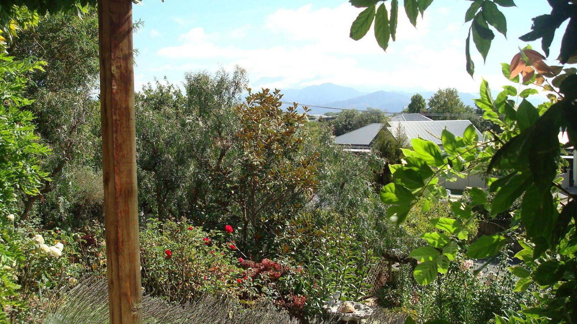 Olde Mill House B&B & Bike2Wine Cycle Hire Renwick Buitenkant foto