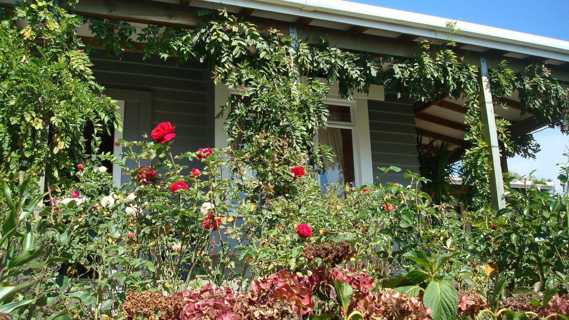 Olde Mill House B&B & Bike2Wine Cycle Hire Renwick Buitenkant foto